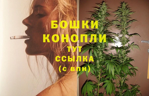 гидропоника Белокуриха