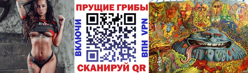 даркнет клад  KRAKEN зеркало  Северск  Галлюциногенные грибы прущие грибы 