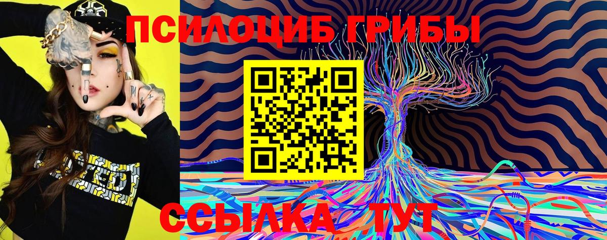Галлюциногенные грибы Cubensis  Вход с VPN  Северск 