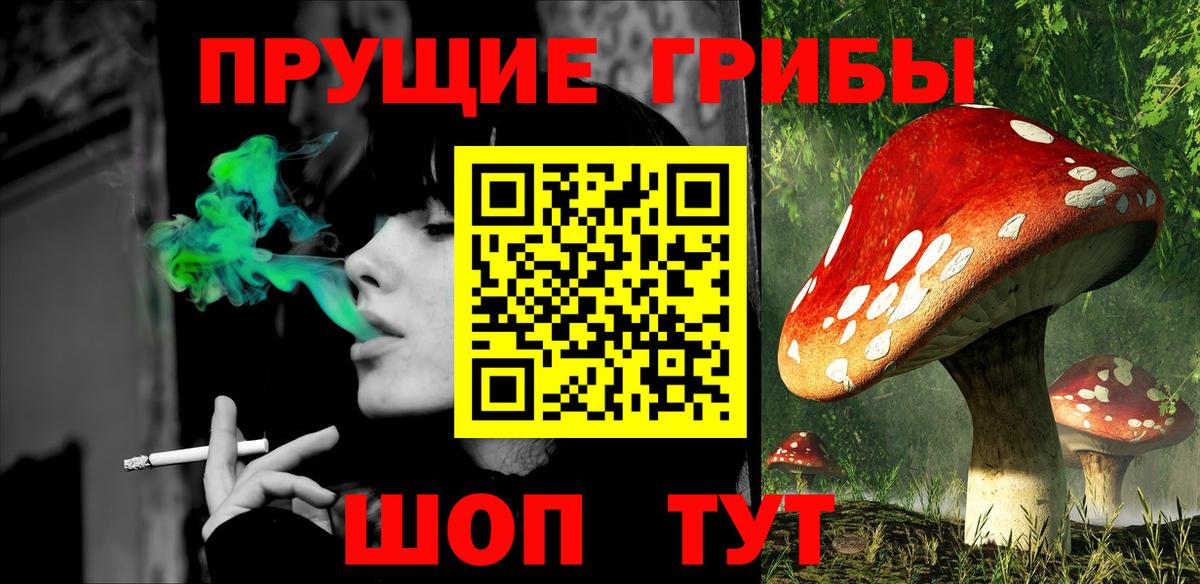 Псилоцибиновые грибы мухоморы Северск